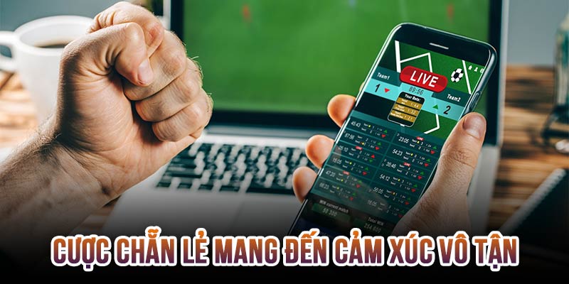 Đặt cược chẵn lẻ mang đến cho bạn nguồn cảm xúc vô tận